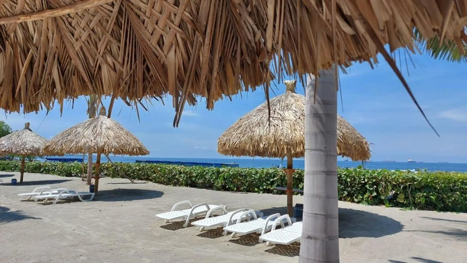 Samaria Club De Playa 914 Apartment Gaira